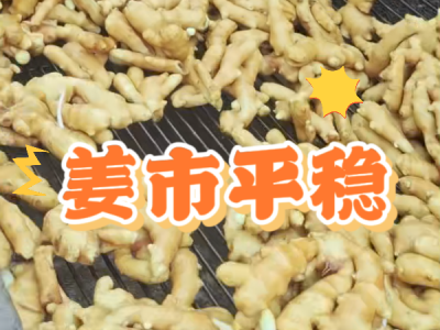 7月4日 生姜价格行情（姜市平稳） ()
