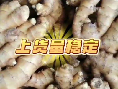 7月5日广州江南批发市场价格行情 ()