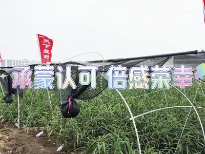 天下良田走访日常 ()