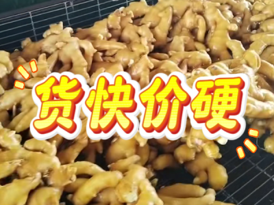 7月8日 生姜价格行情（货快价硬） ()