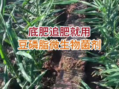 底肥追肥就用豆磷脂微生物菌剂 ()