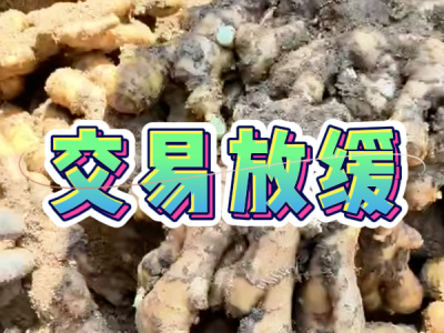 7月9日 安丘黑埠子（交易放缓） ()