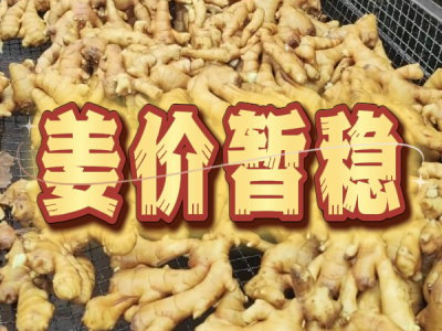 7月10日 生姜价格行情（姜价暂稳） ()