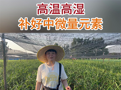 高温高湿补好中微量元素 ()