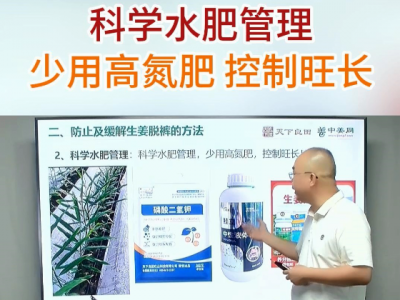 科学水肥管理少用高氮肥控制旺长 ()