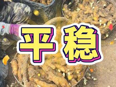 7月11日 安丘黑埠子（平稳） ()