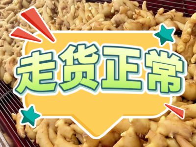 7月12日 生姜价格行情（走货正常） ()