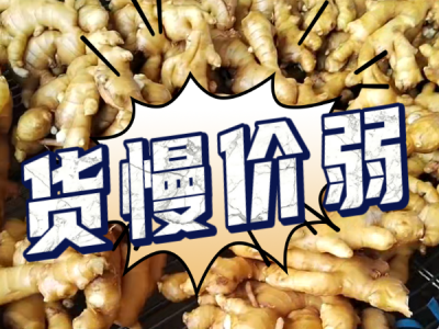 7月14日 生姜价格行情（货慢价弱） ()