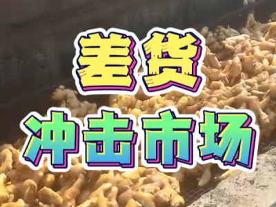7月18日 生姜价格行情（差货冲击市场） ()