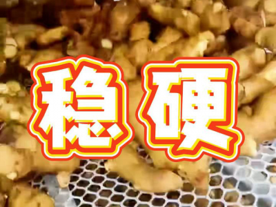 7月22日 莱州吕村大姜（稳硬） ()