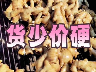 7月22日 昌邑琨福大姜（货少价硬） ()