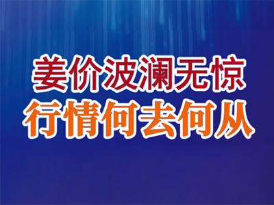 老石说姜：姜价波澜无惊、行情何去何从？ ()