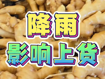 7月21日 昌邑琨福大姜（降雨影响上货） ()