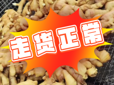 7月28日 昌邑琨福大姜（走货正常） ()