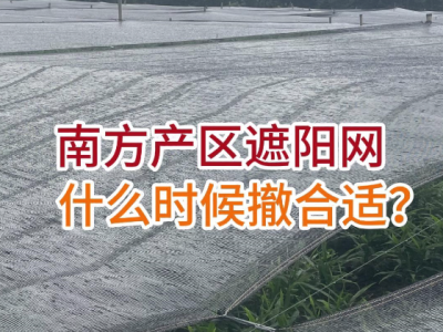 7月29日 安丘黑埠子（以稳为主） ()