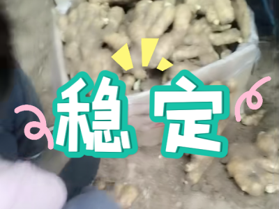 7月30日 安丘黑埠子（稳定） ()