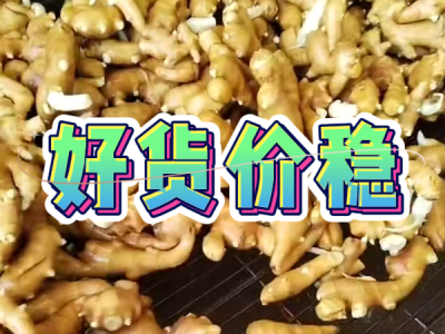 7月31日 生姜价格行情（好货价稳） ()