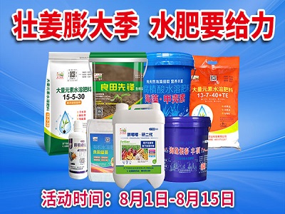 壮姜膨大季 水肥要给力 ()