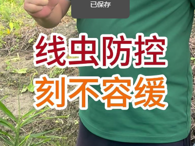 线虫防控，刻不容缓 ()