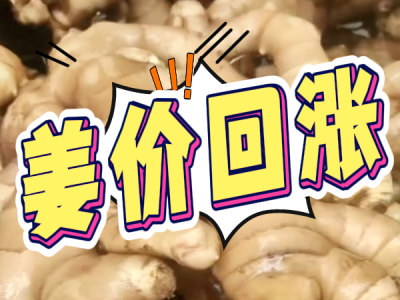 8月2日 生姜价格行情（姜价回涨） ()