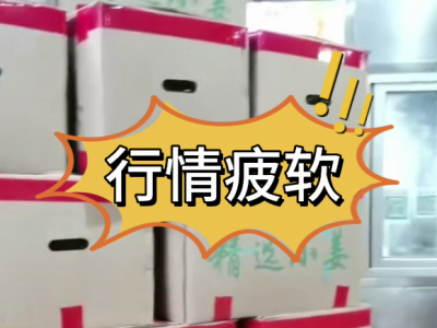 8月2日广州江南批发市场价格行情 ()