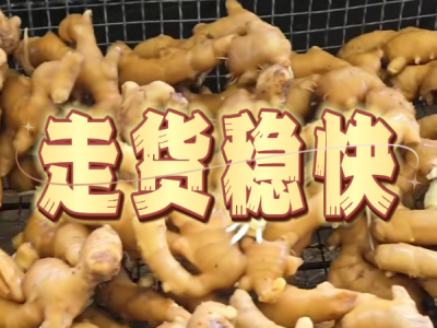 8月4日 生姜价格行情（走货稳快） ()