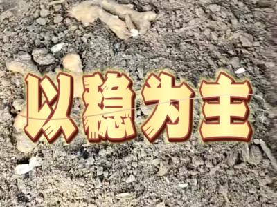 8月5日 安丘黑埠子（以稳为主） ()