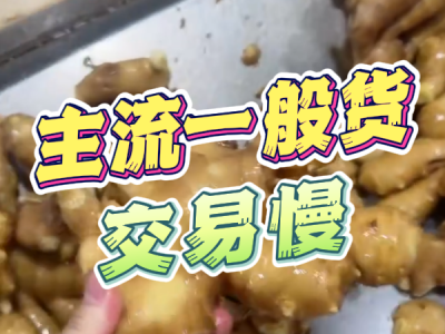 8月5日 生姜价格行情（主流一般货交易慢） ()