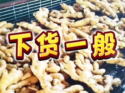 8月7日 生姜价格行情（下货一般） ()