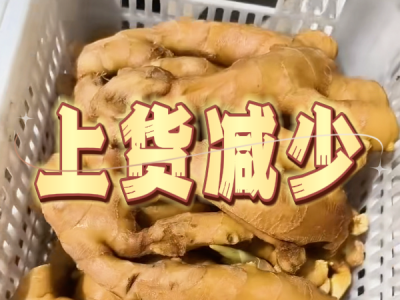 8月9日 生姜价格行情（上货减少） ()