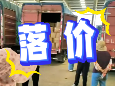 8月11日 安丘黑埠子（落价） ()