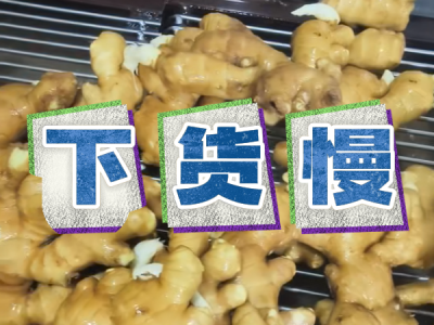 8月11日 生姜价格行情（下货慢） ()