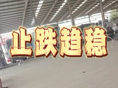 8月13日 安丘黑埠子（止跌趋稳） ()