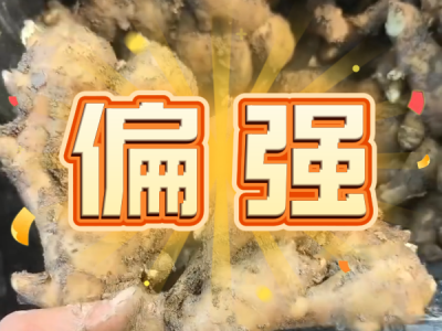 8月14日 安丘黑埠子（偏强） ()