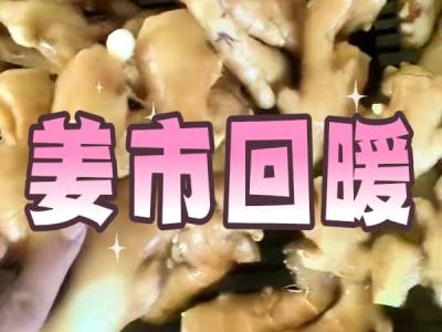 8月14日 生姜价格行情（姜市回暖） ()