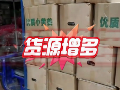 8月16日广州江南批发市场价格行情 ()