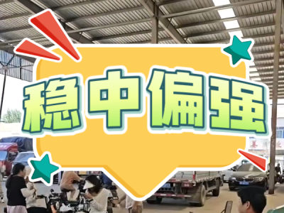 8月16日 安丘黑埠子（稳中偏强） ()