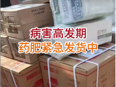 病害高发期 药肥紧急发货中 ()