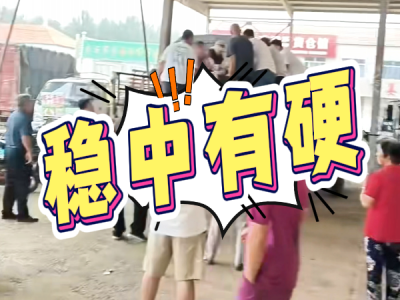 8月25日 安丘黑埠子（稳中有硬） ()