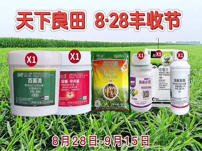天下良田·8.28丰收节 ()