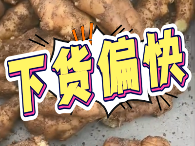 8月29日 安丘黑埠子（下货偏快） ()