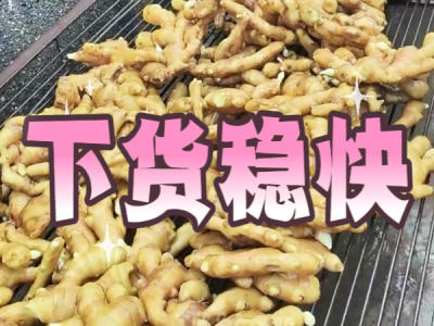9月1日 生姜价格行情（下货稳快） ()