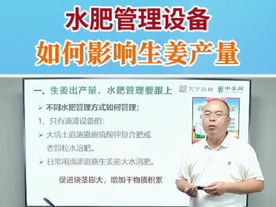 水肥管理设备如何影响生姜产量 ()