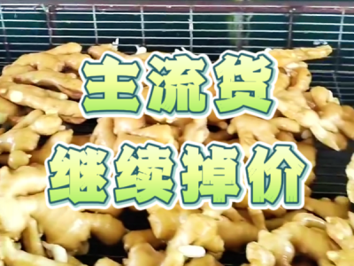 9月4日 生姜价格行情（主流货继续掉价） ()