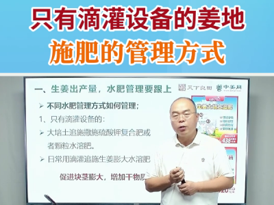 只有滴灌设备的姜地施肥的管理方式 ()