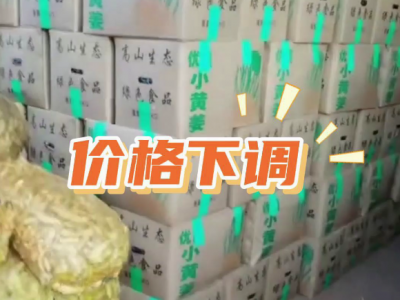 9月6日广州江南批发市场价格行情 ()