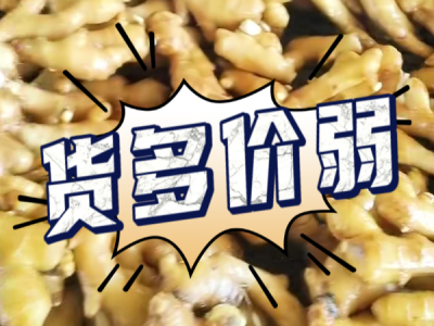 9月8日 生姜价格行情（货多价弱） ()