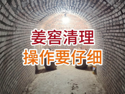姜窖清理操作要仔细 ()