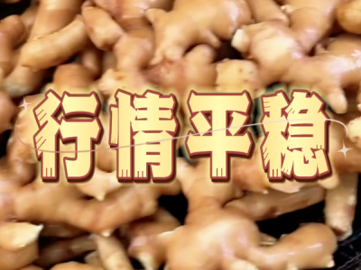 9月10日 生姜价格行情（行情平稳） ()