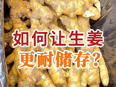 如何让生姜更耐储存？ ()